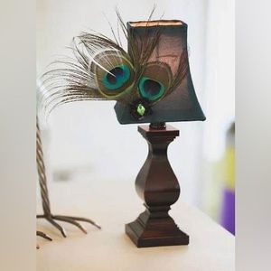Adorable Pier 1 Peacock Feather Lamp